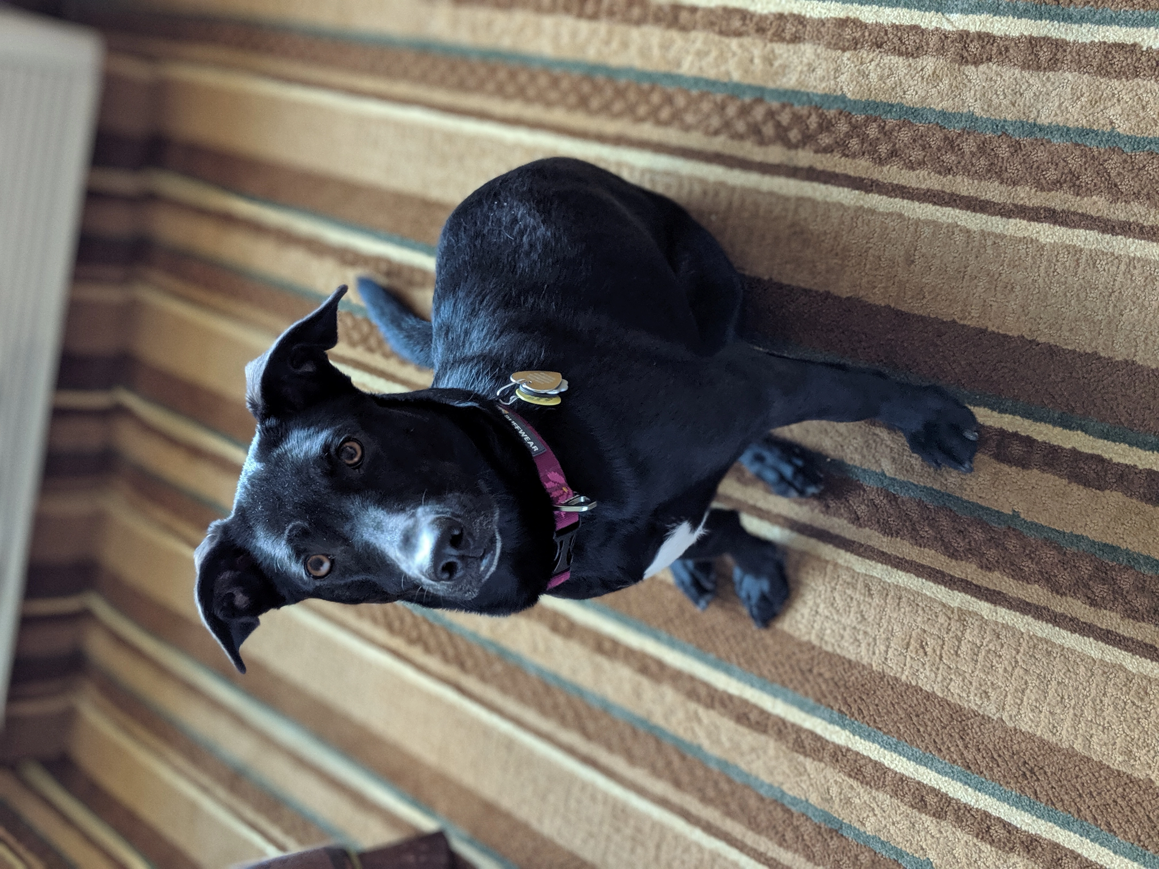 IGMcK!=''?IGMcK:Ian McKendry