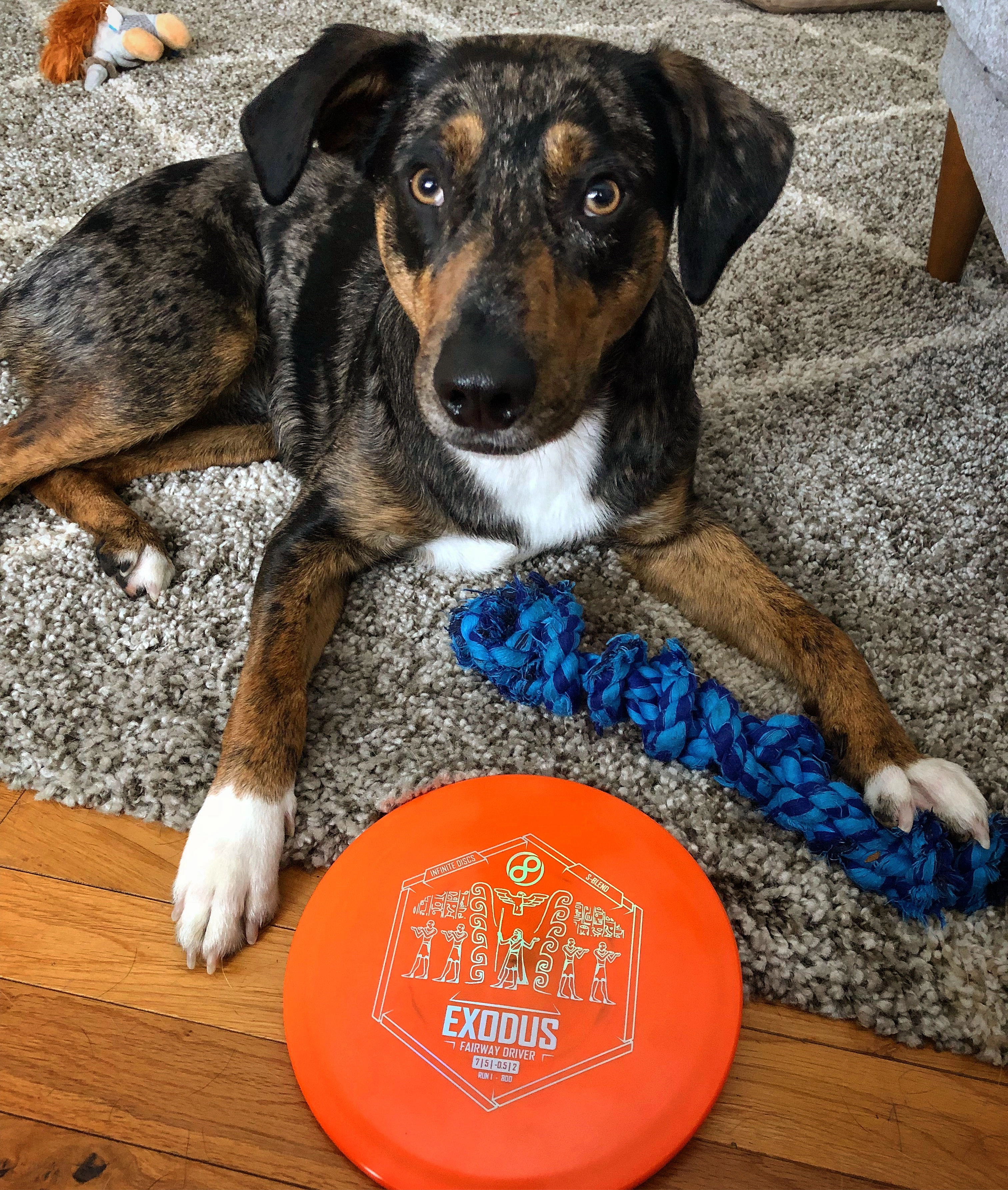 redbeardjoe!=''?redbeardjoe:Joe Rasmussen