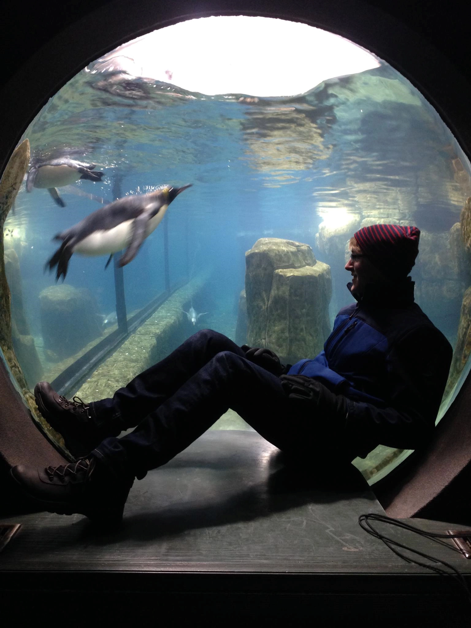 Matt402!=''?Matt402:Matthew Sis