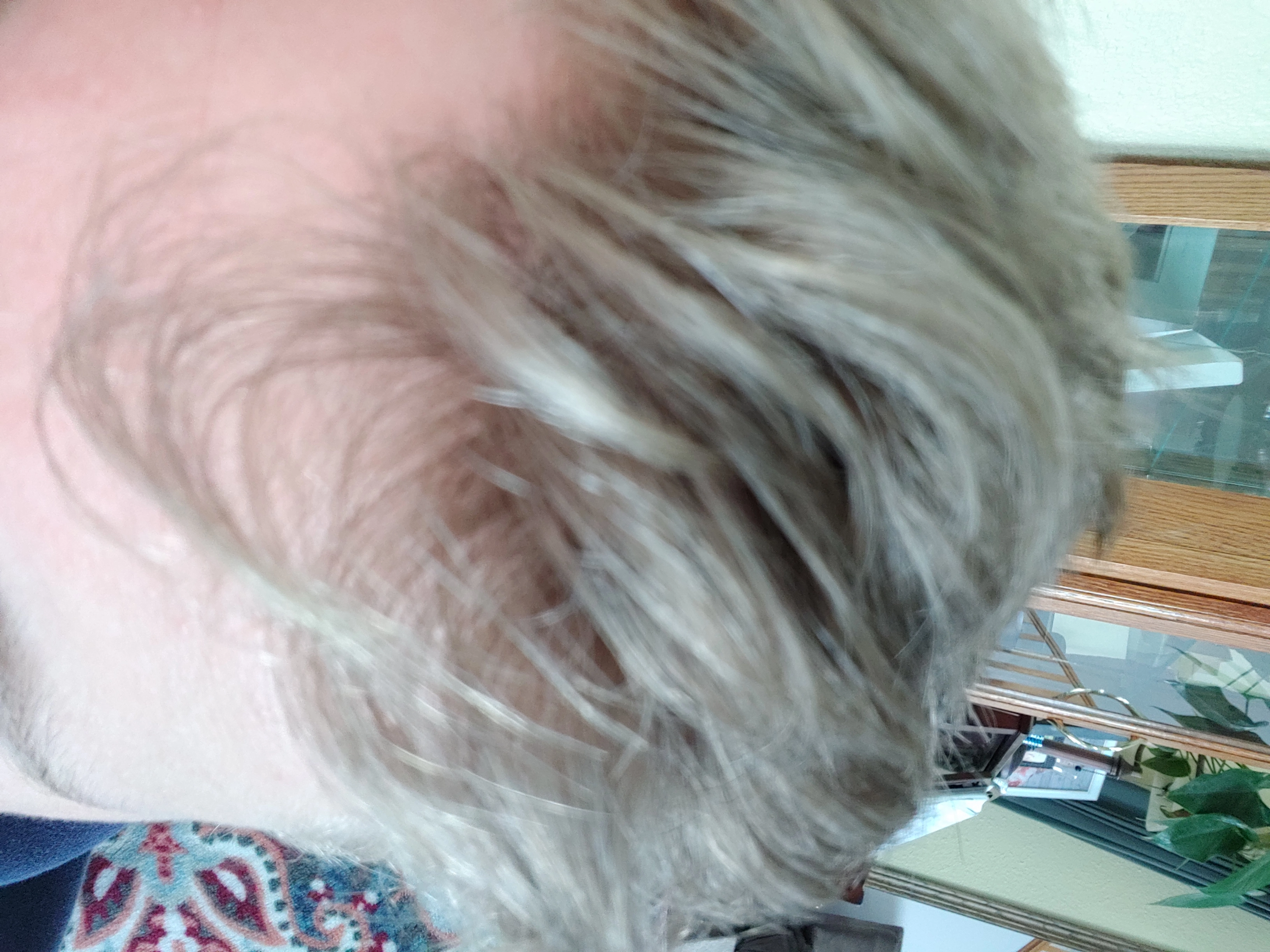 Brandon!=''?Brandon:Brandon Wuollet