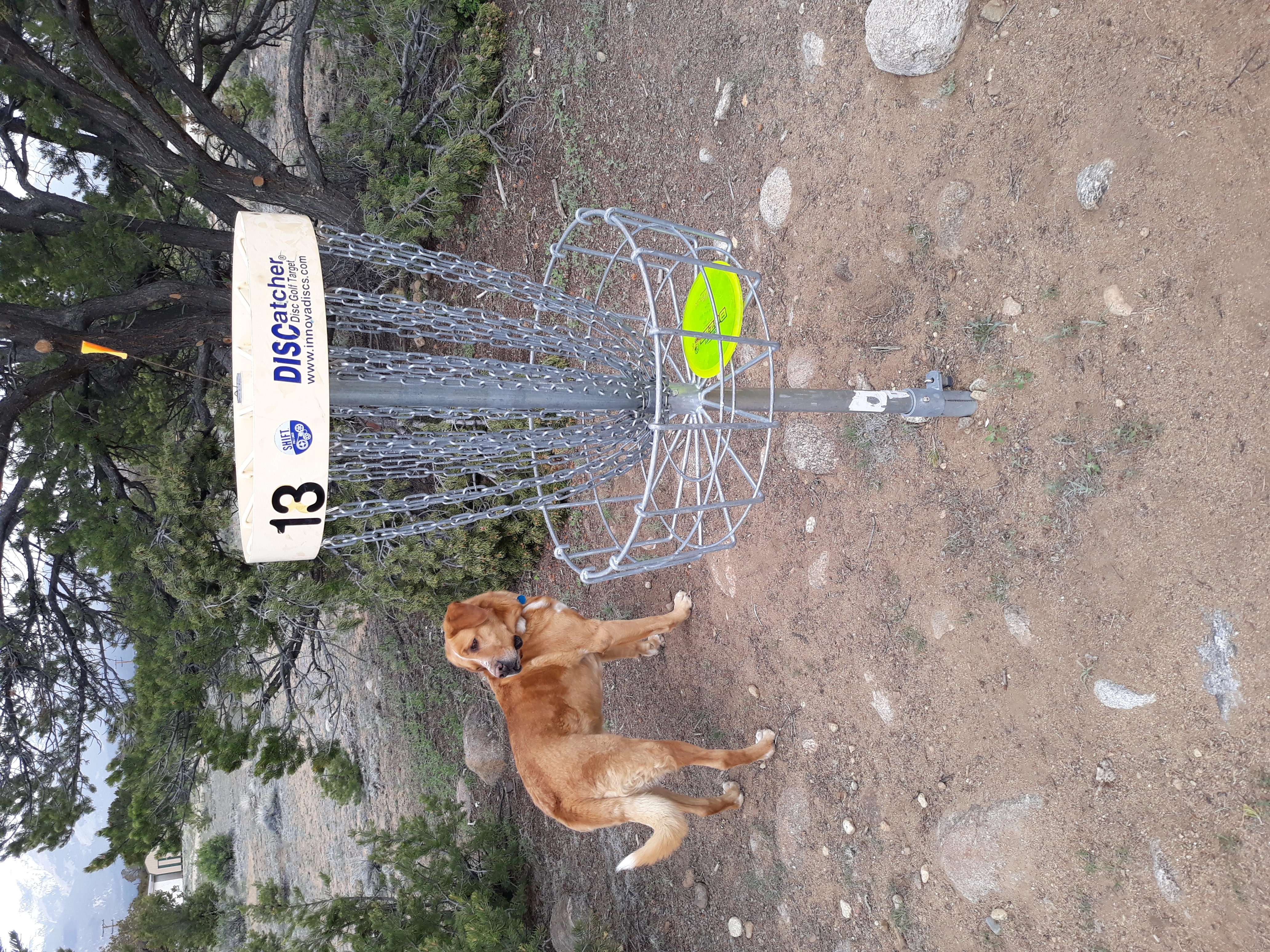 Joe Judd!=''?Joe Judd:Joe Judd