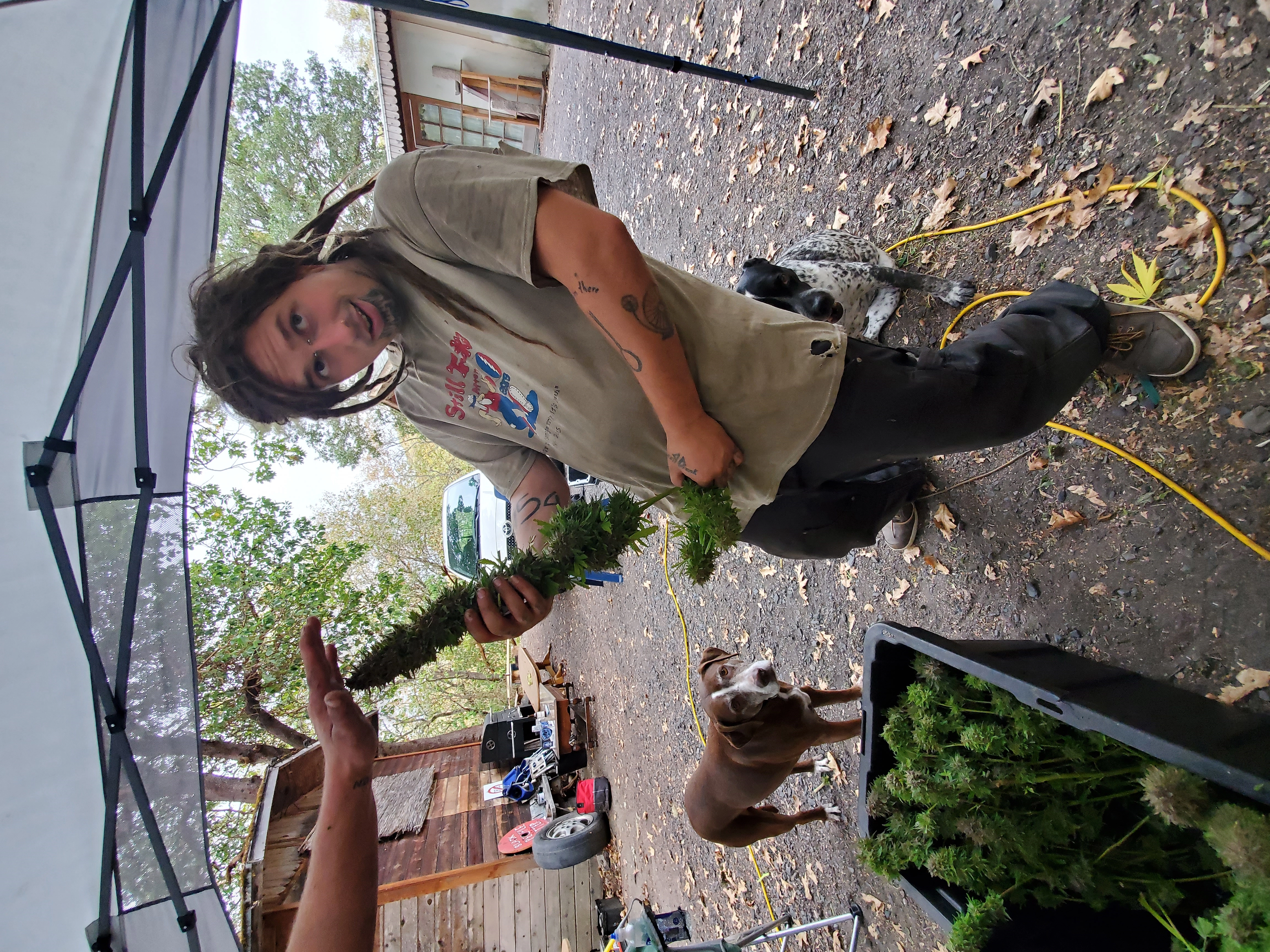 Harry Longdong!=''?Harry Longdong:Harry Longdong