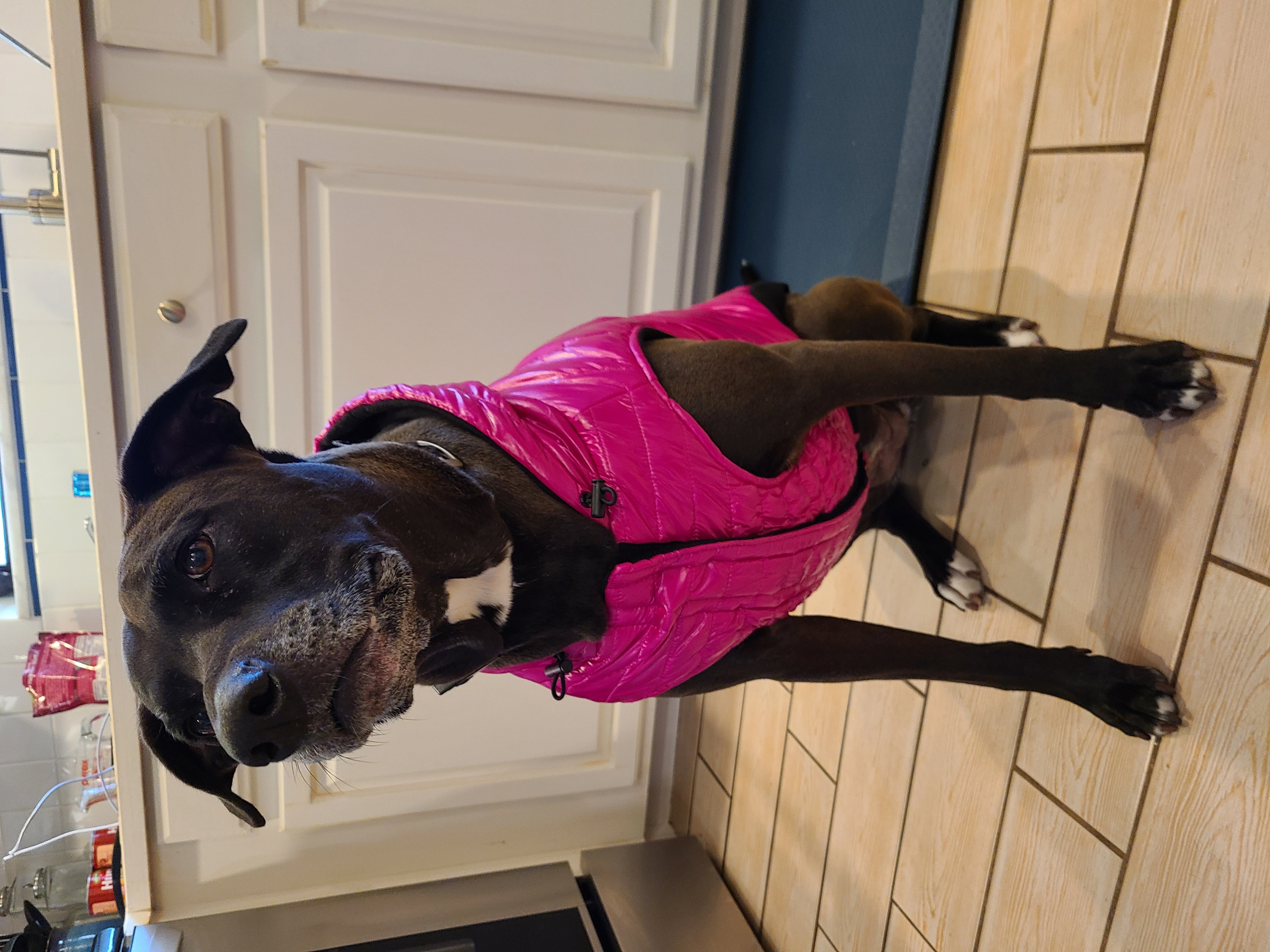 Jsun19!=''?Jsun19:Jason Hanby