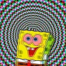 madalork!=''?madalork:Adam Krol