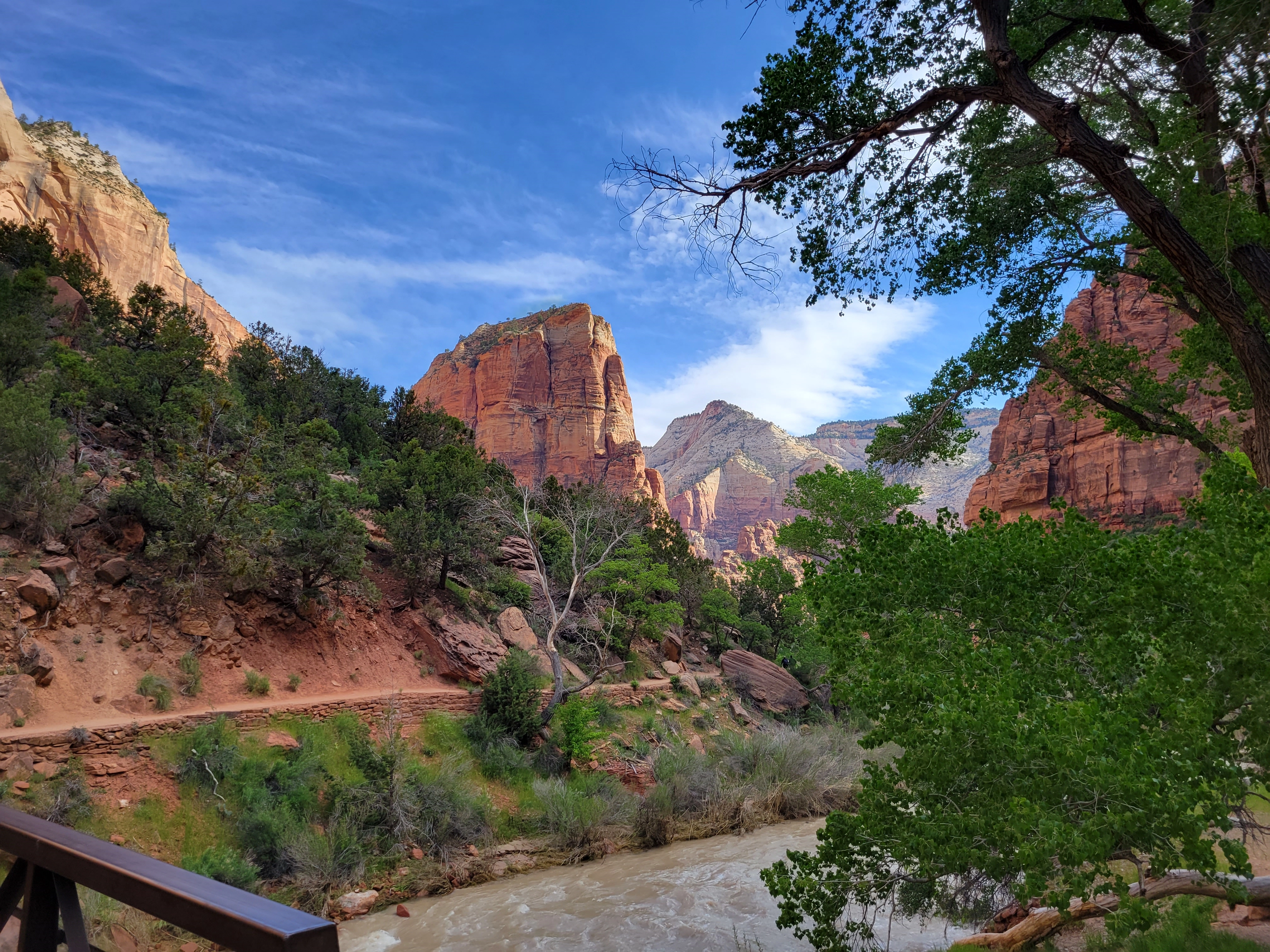 Hook0690!=''?Hook0690:Tyler Hoffman