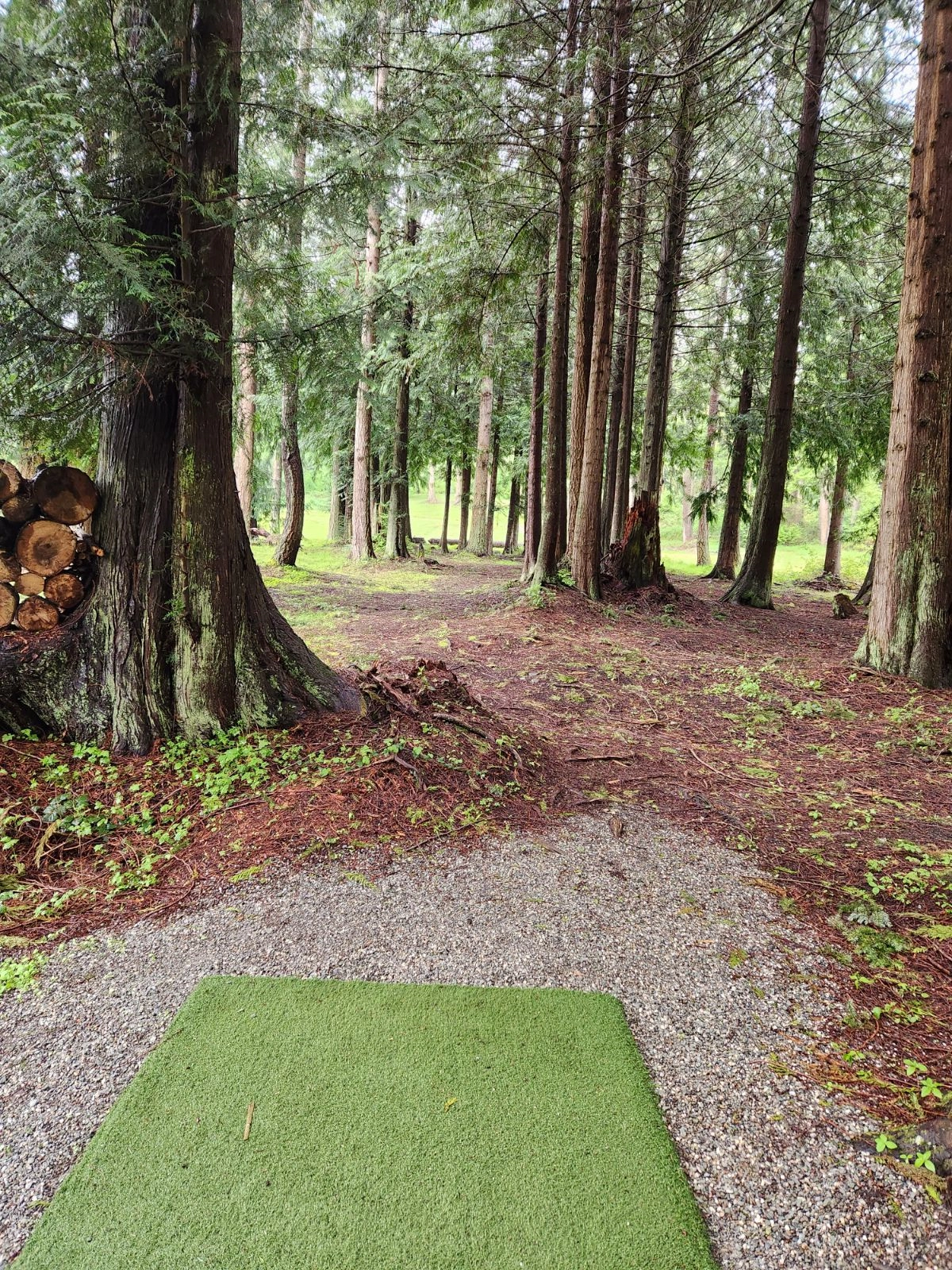 PNW Noodler!=''?PNW Noodler:Cory Kaldestad