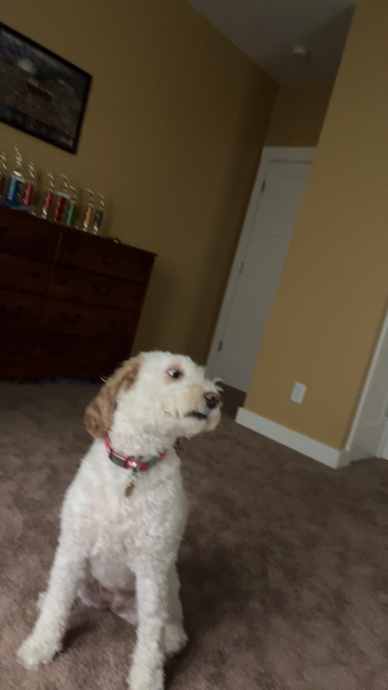 Caleb Deicher!=''?Caleb Deicher:Caleb Deicher