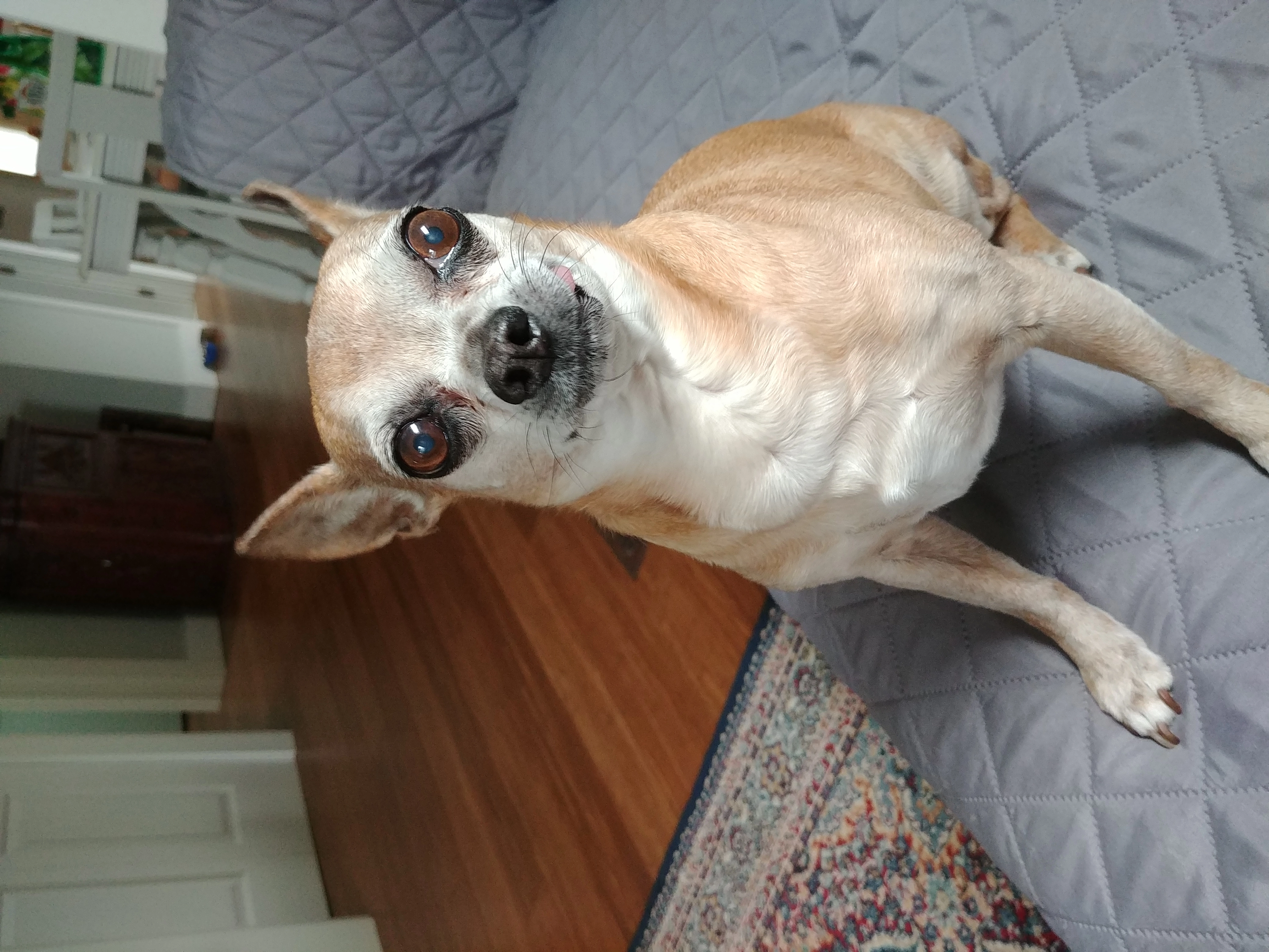 g00bers!=''?g00bers:Maxwell Sipe