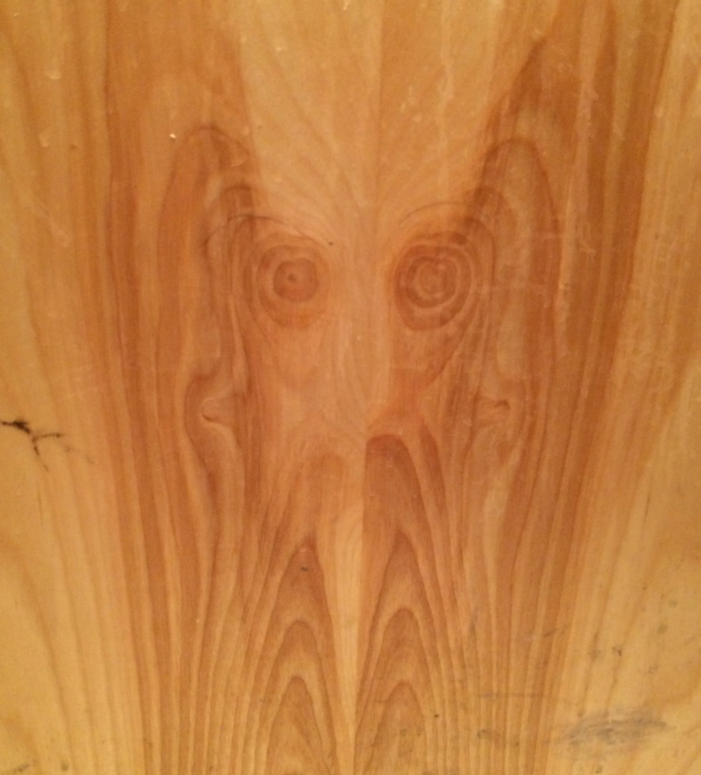 SqueegeeMcGee!=''?SqueegeeMcGee:Colter Foutz