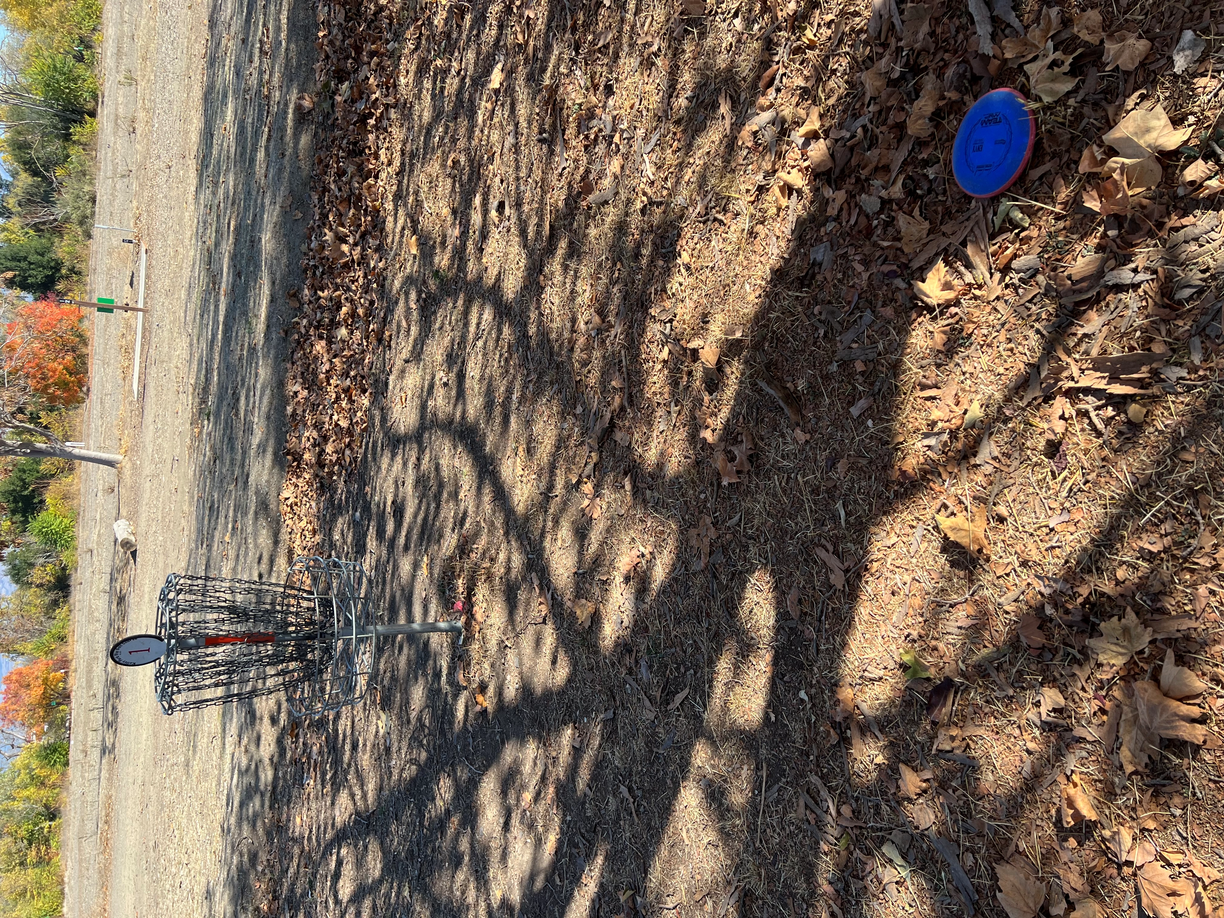 bfree888!=''?bfree888:Brandon Free