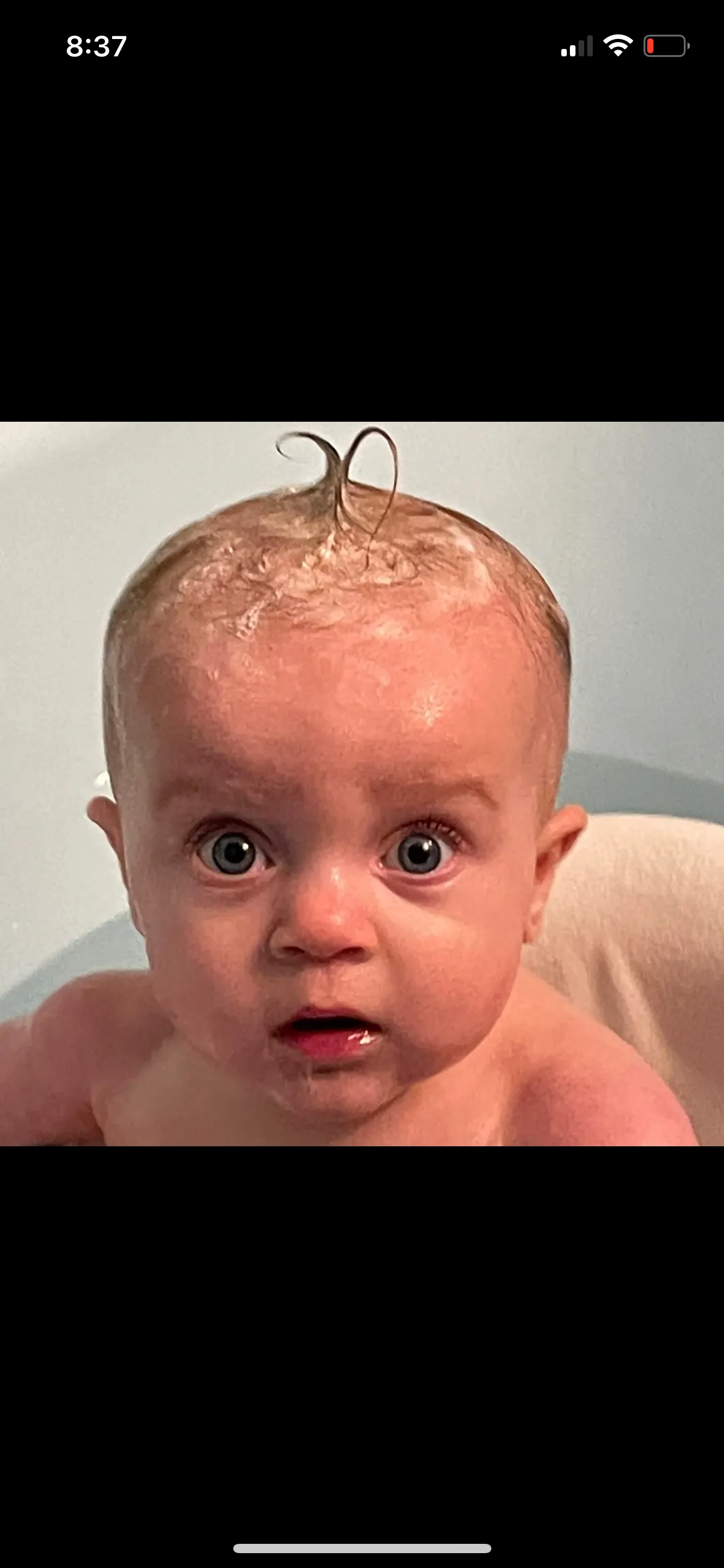 Derek Murphy!=''?Derek Murphy:Derek Murphy