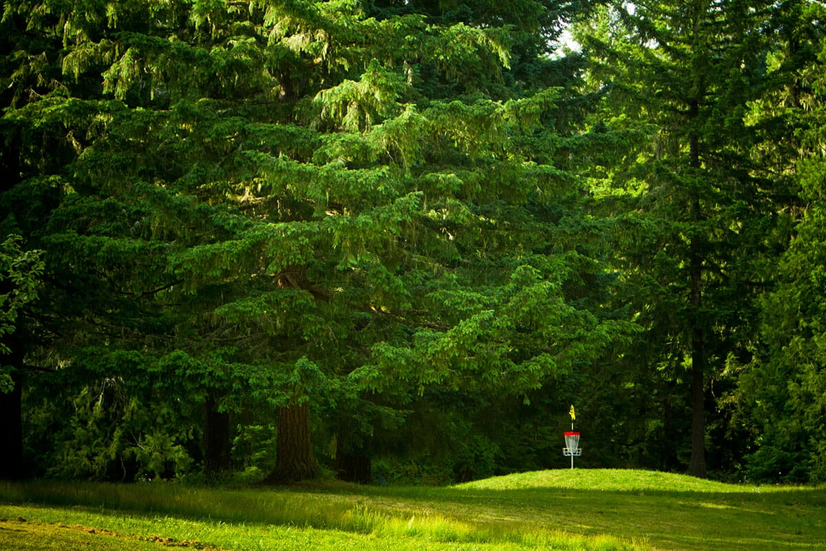 Finncle!=''?Finncle:Finnian Clemans