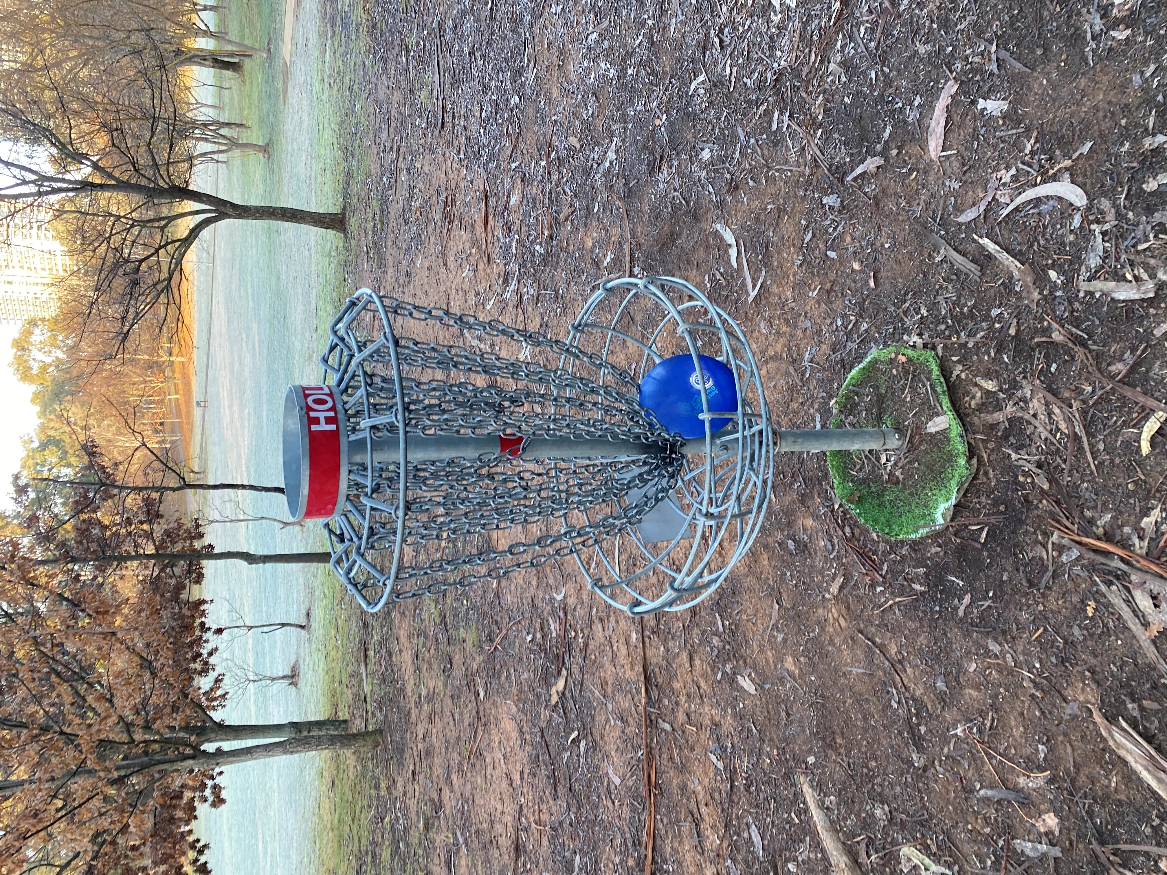 Will Viggers!=''?Will Viggers:Will Viggers