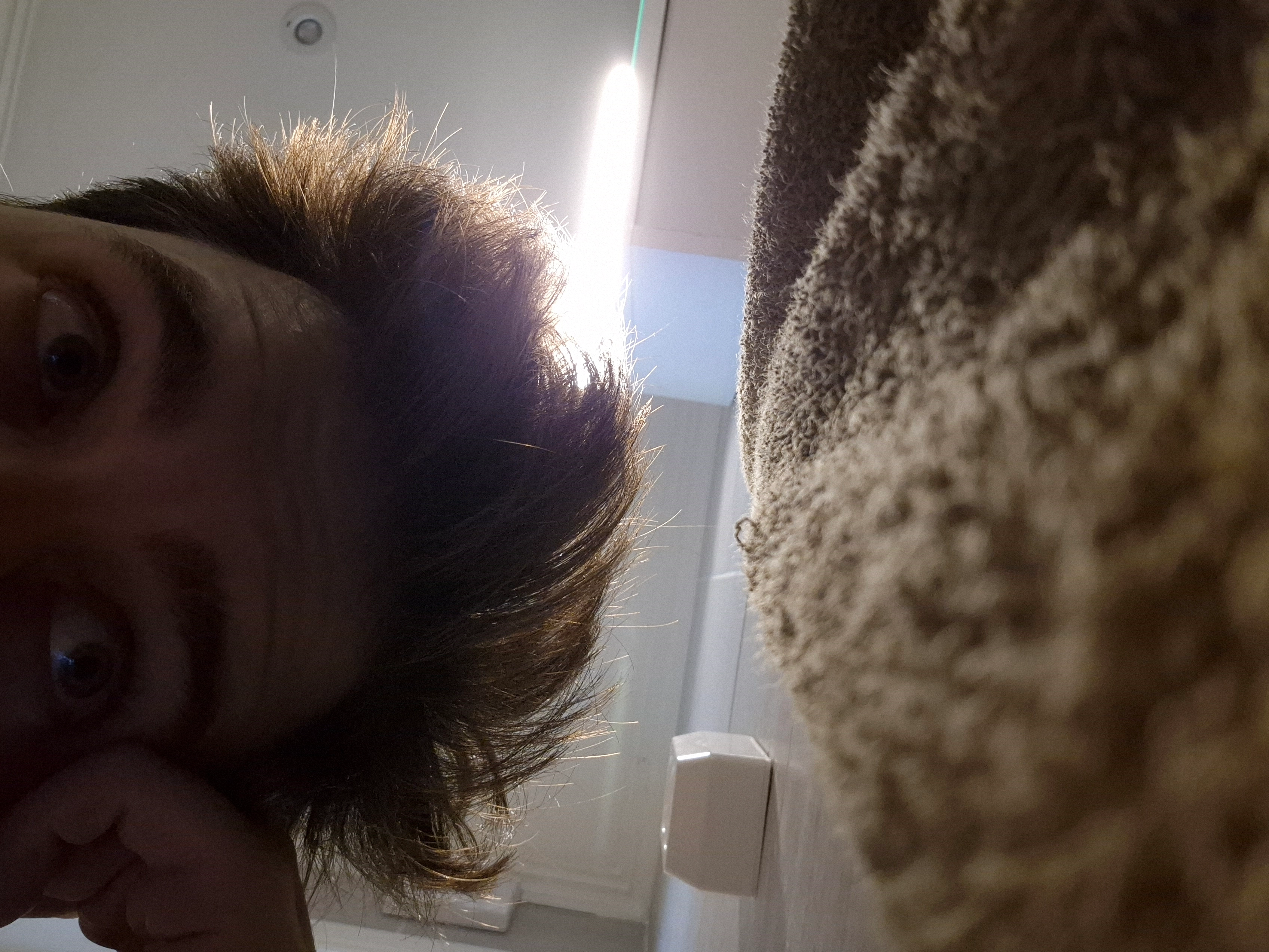 Stoof!=''?Stoof:Steffen Landerud