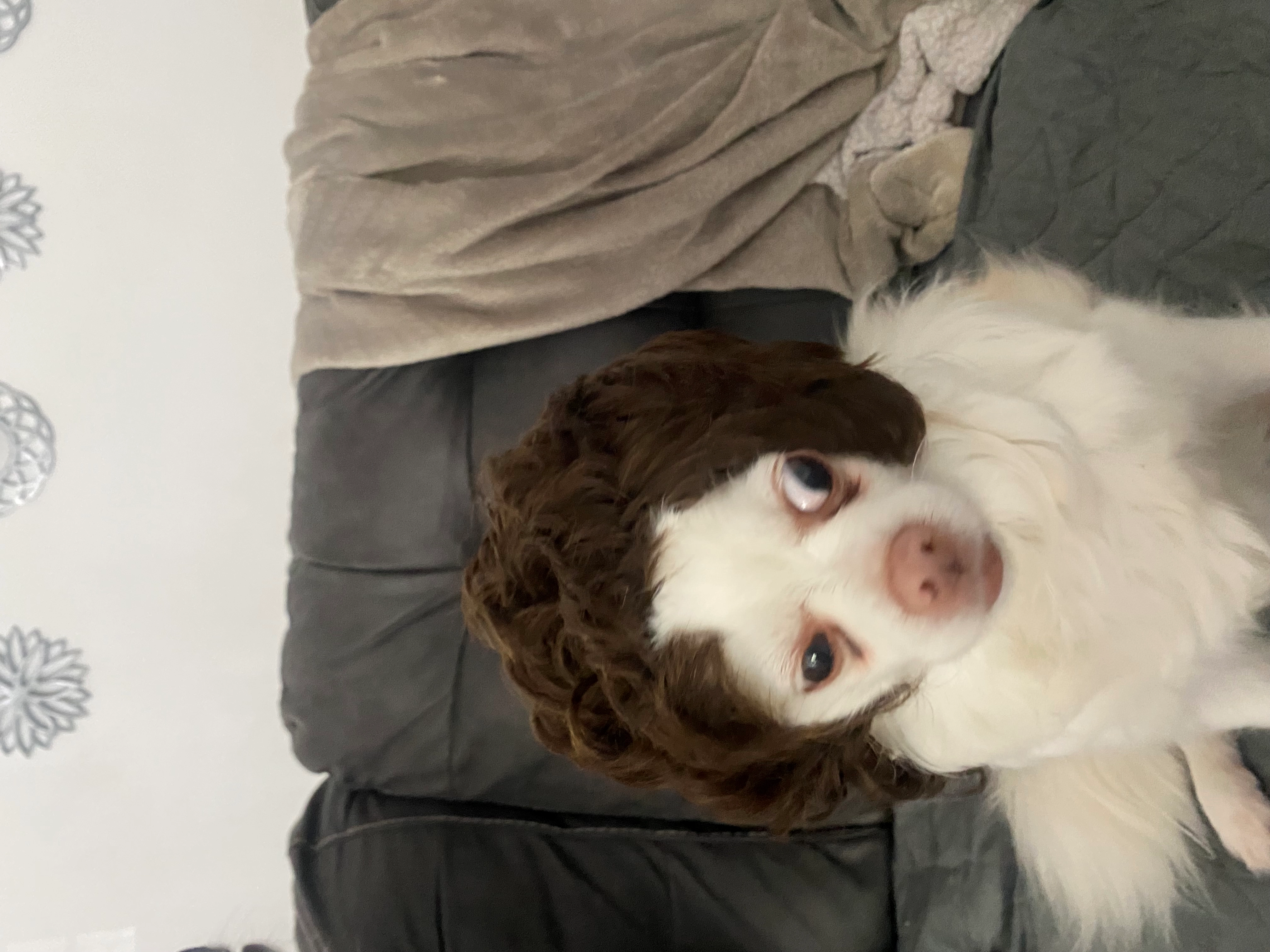 Craigor009!=''?Craigor009:Craig Gregory