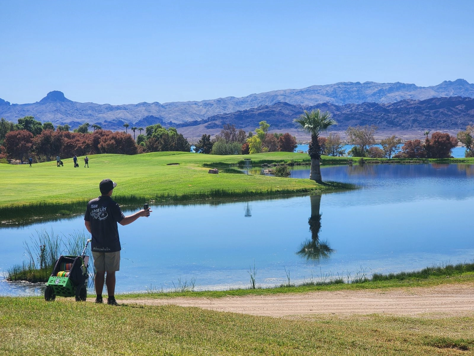 Andrew Rosta!=''?Andrew Rosta:Andrew Rosta