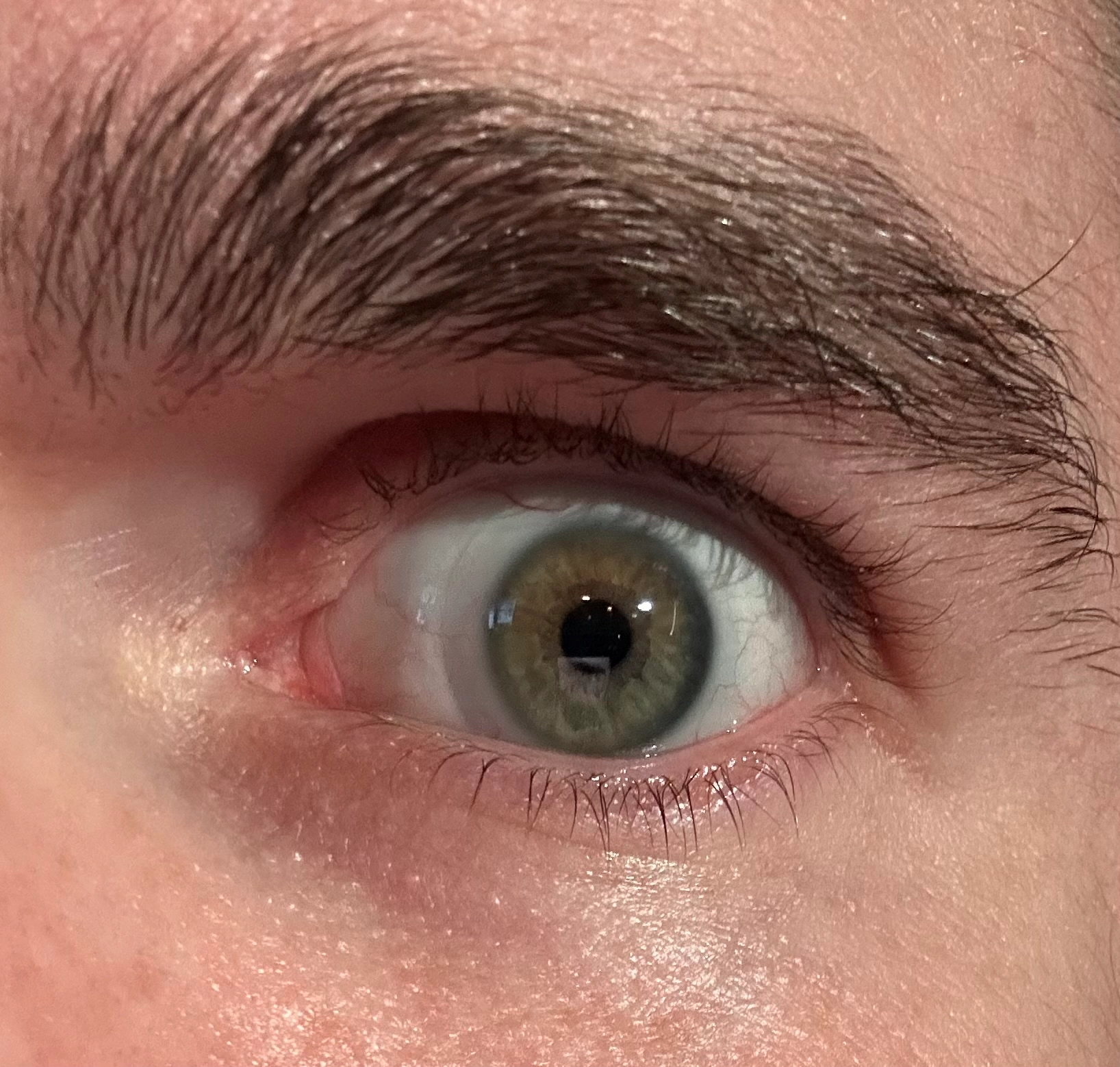 Ryan Freeman!=''?Ryan Freeman:Ryan Freeman