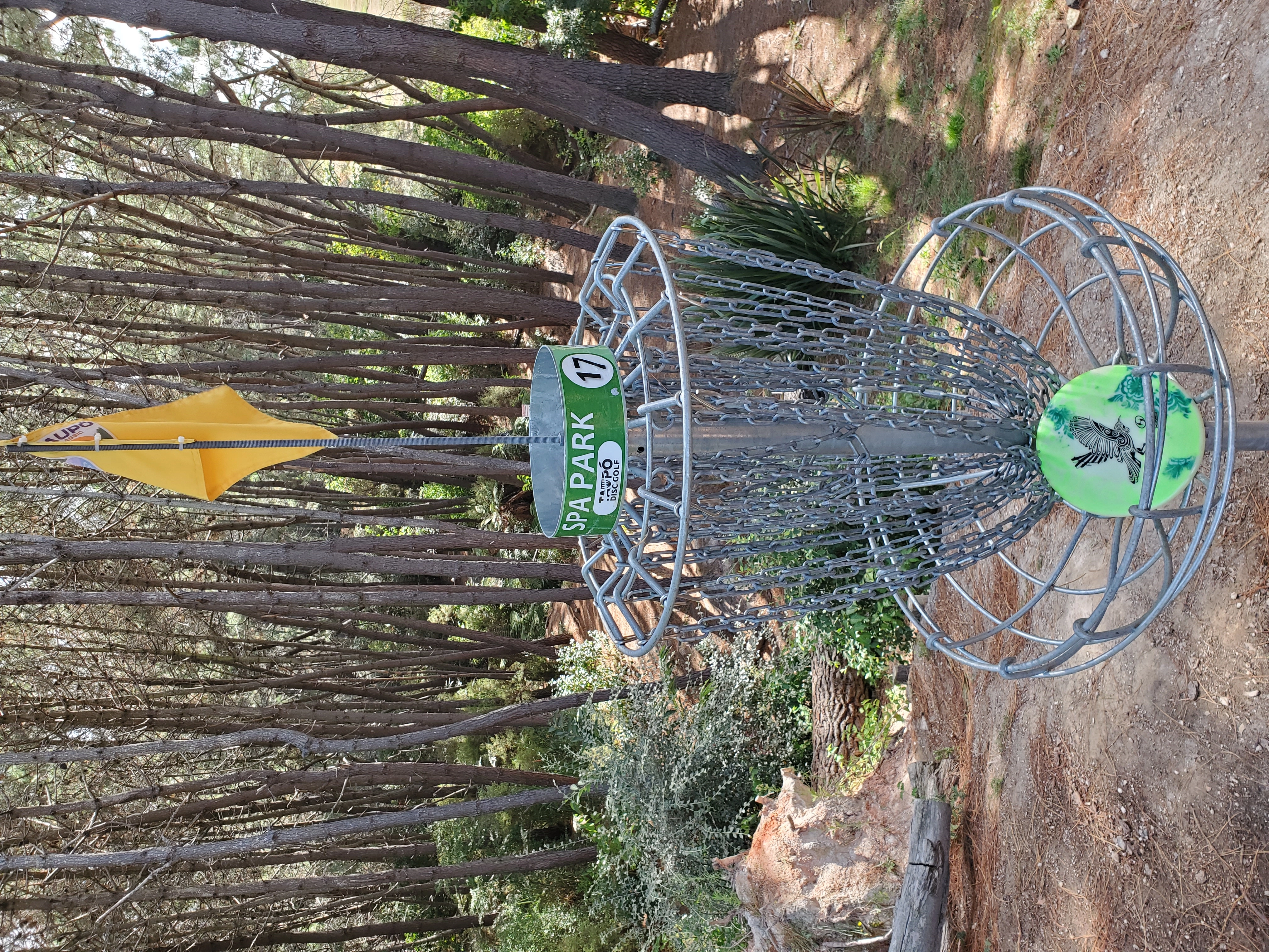 OceanNerd33!=''?OceanNerd33:Morgan Beaver