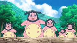 moomasterq!=''?moomasterq:aLEX Harding