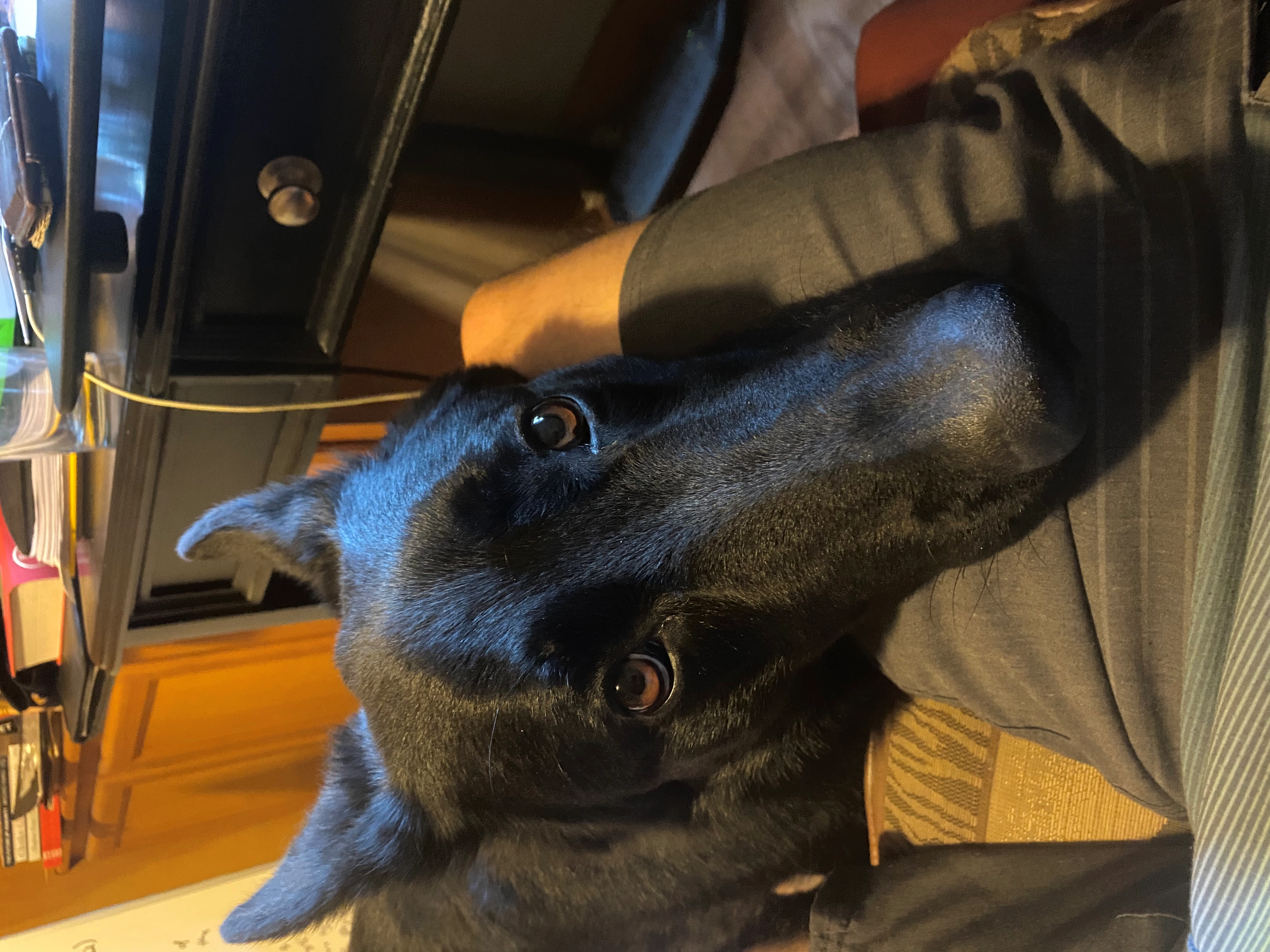 Clithoma!=''?Clithoma:Clifford Thomas