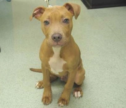 pdxborn!=''?pdxborn:nick riehl