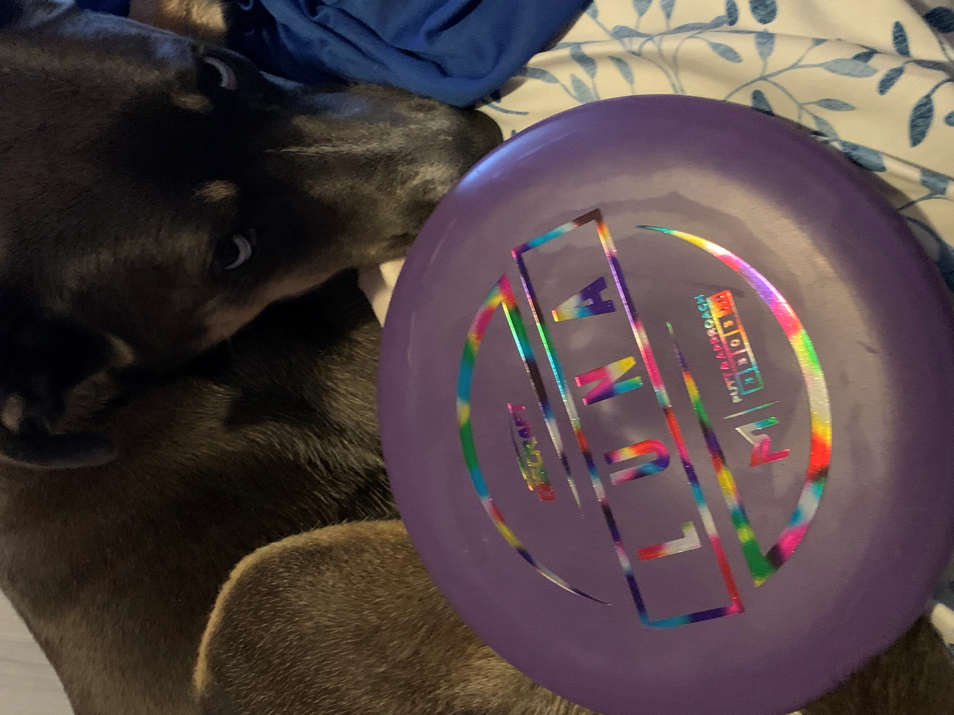 Cbart001!=''?Cbart001:Christopher Barton