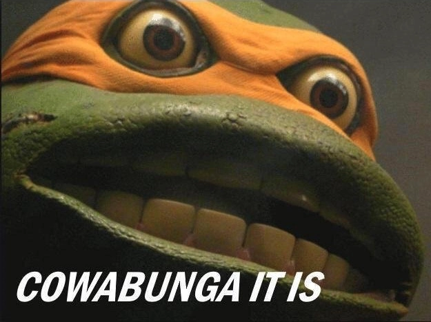 Tophgoose!=''?Tophgoose:Christopher Davis