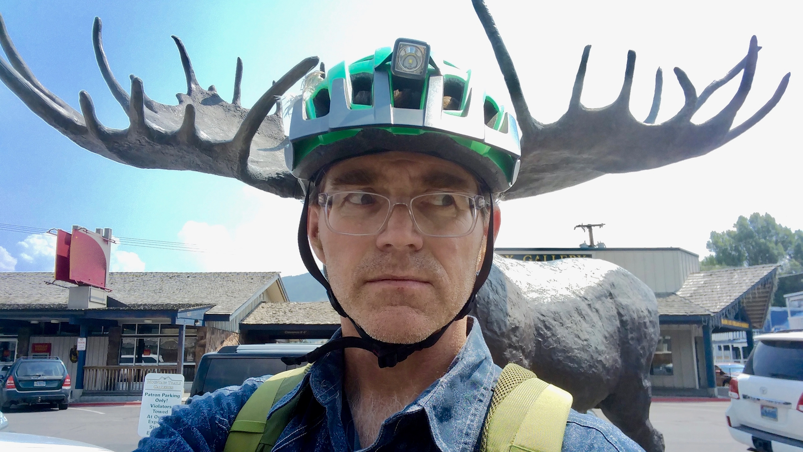 teafeathers!=''?teafeathers:C. E. Dye