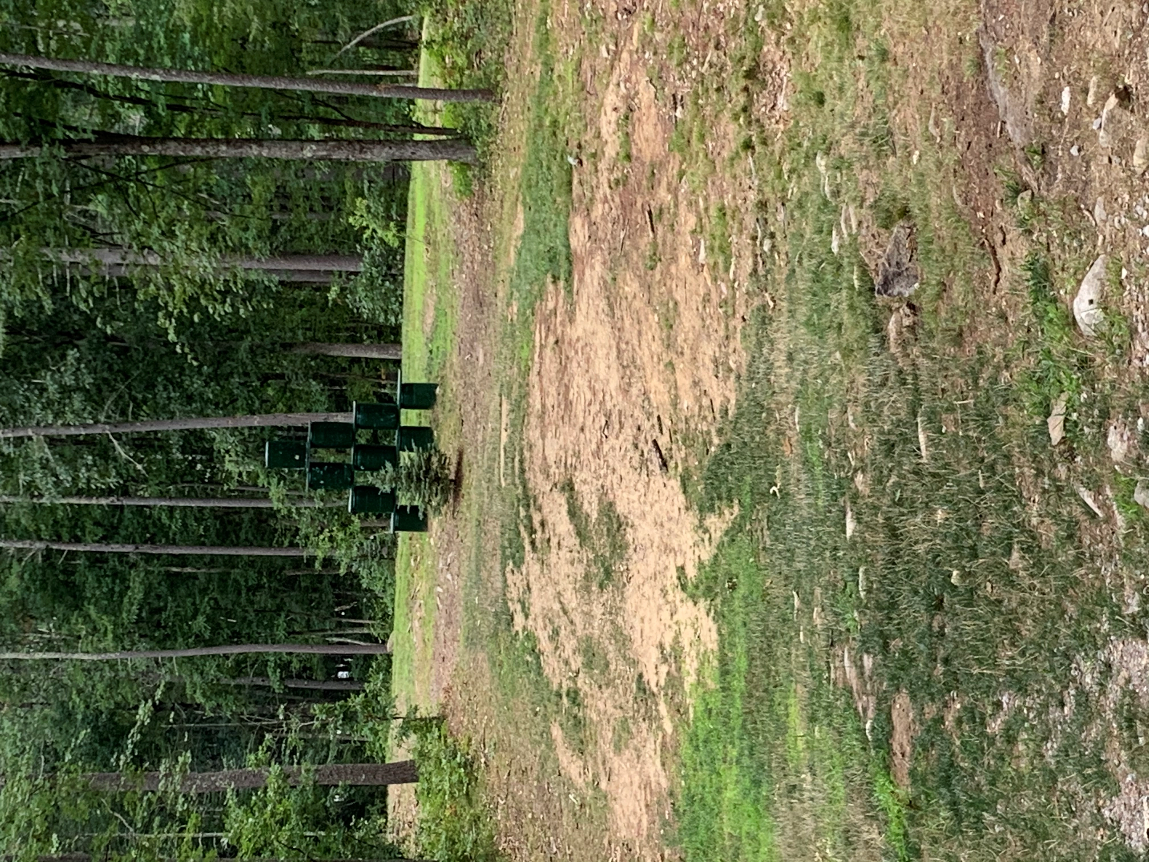 Chainslammer69!=''?Chainslammer69:Charlie Costa