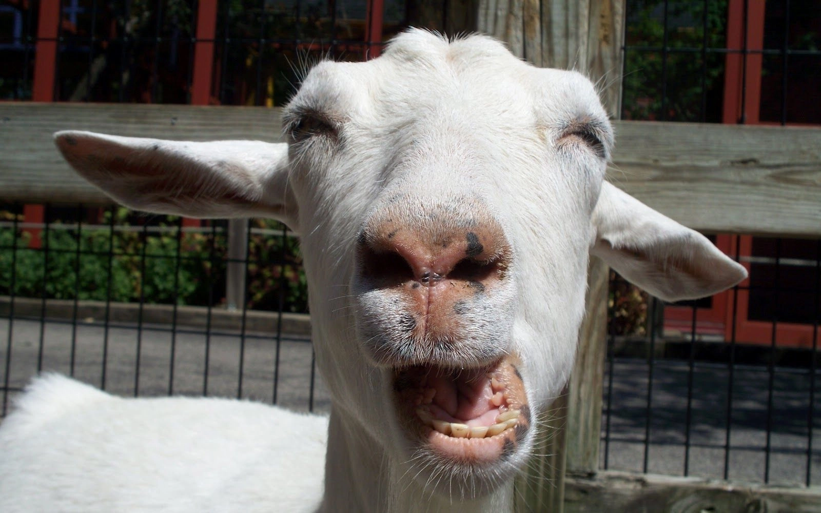 DiscSlinger11!=''?DiscSlinger11:Logan Tilley