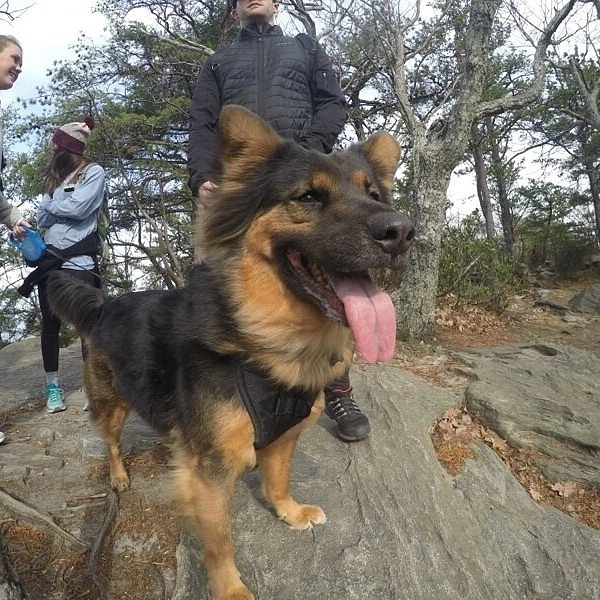 Casey!=''?Casey:Casey Davis