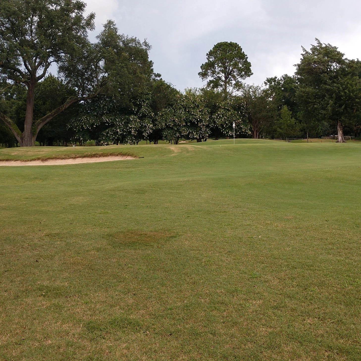 Nicholas Revels!=''?Nicholas Revels:revelsn@gmail.com revelsn@gmail.com