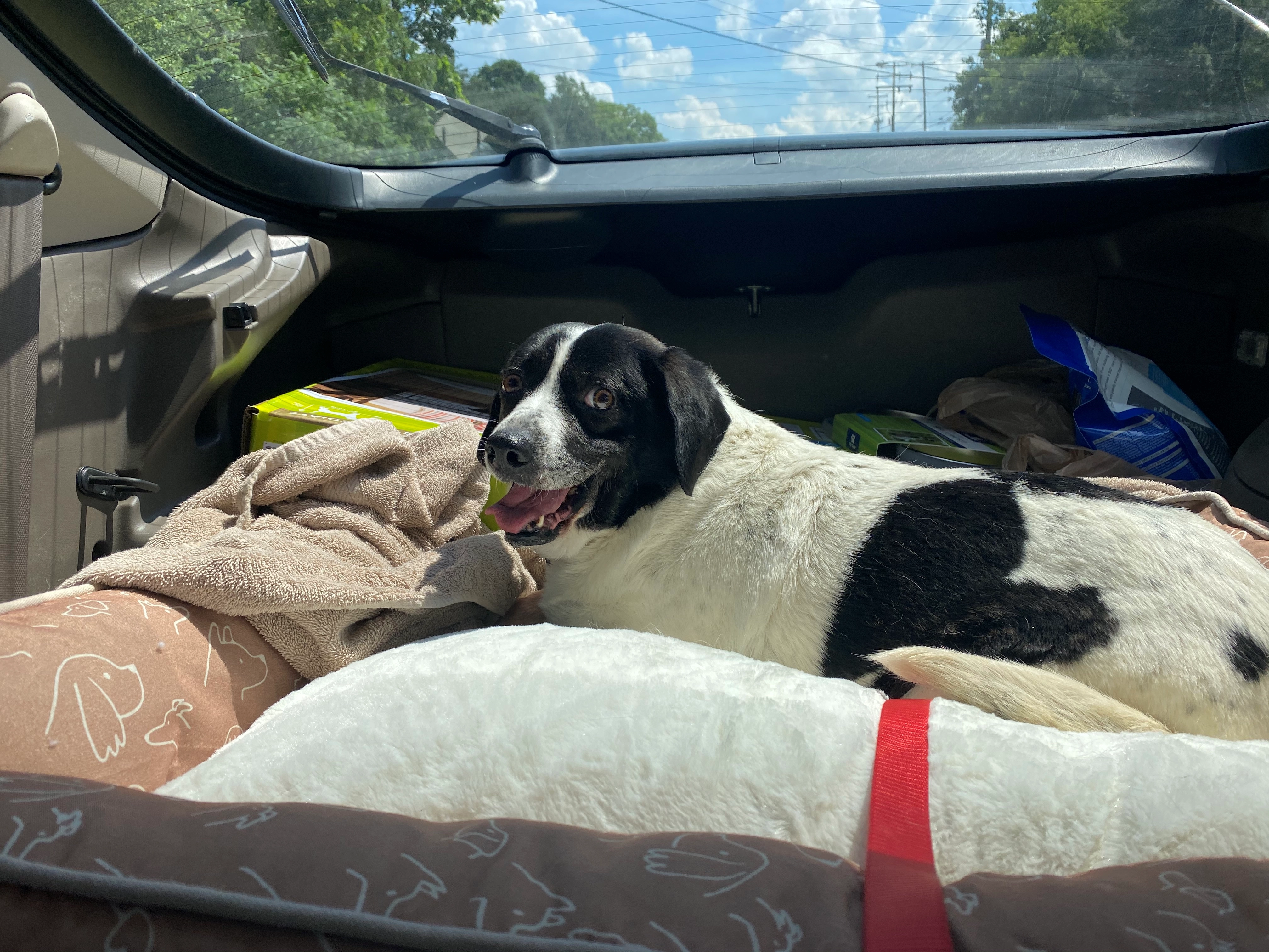 skaterkw!=''?skaterkw:Keegan Whitney