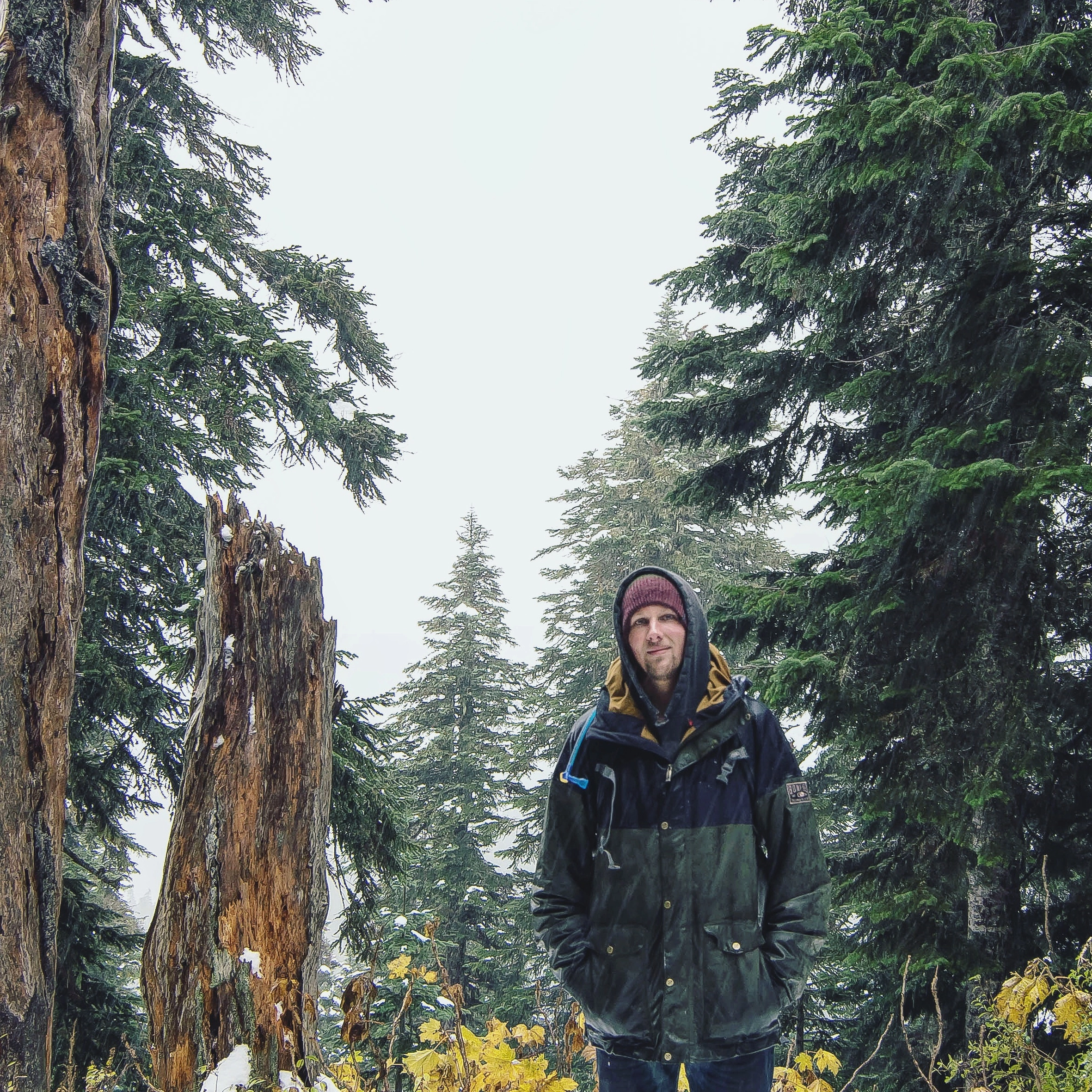 Greg F!=''?Greg F:Gregory Fawver