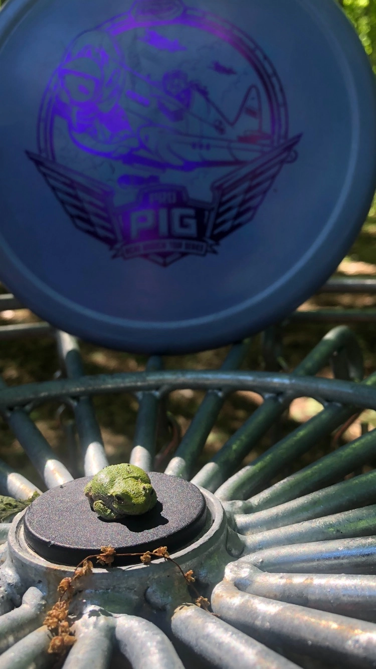 Lucas Vander Bilt!=''?Lucas Vander Bilt:Lucas VanderBilt