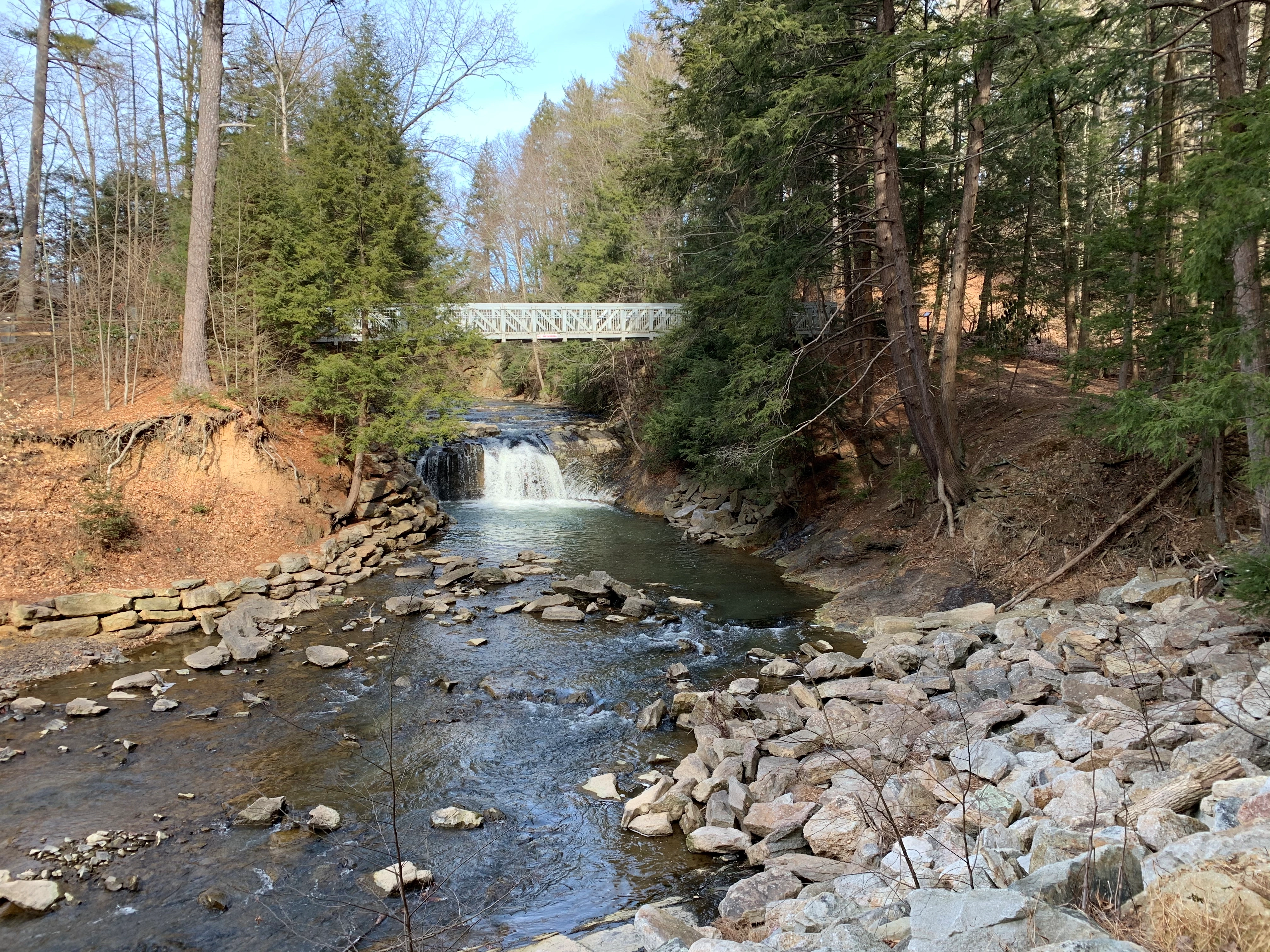 Brandon!=''?Brandon:Brandon Brown