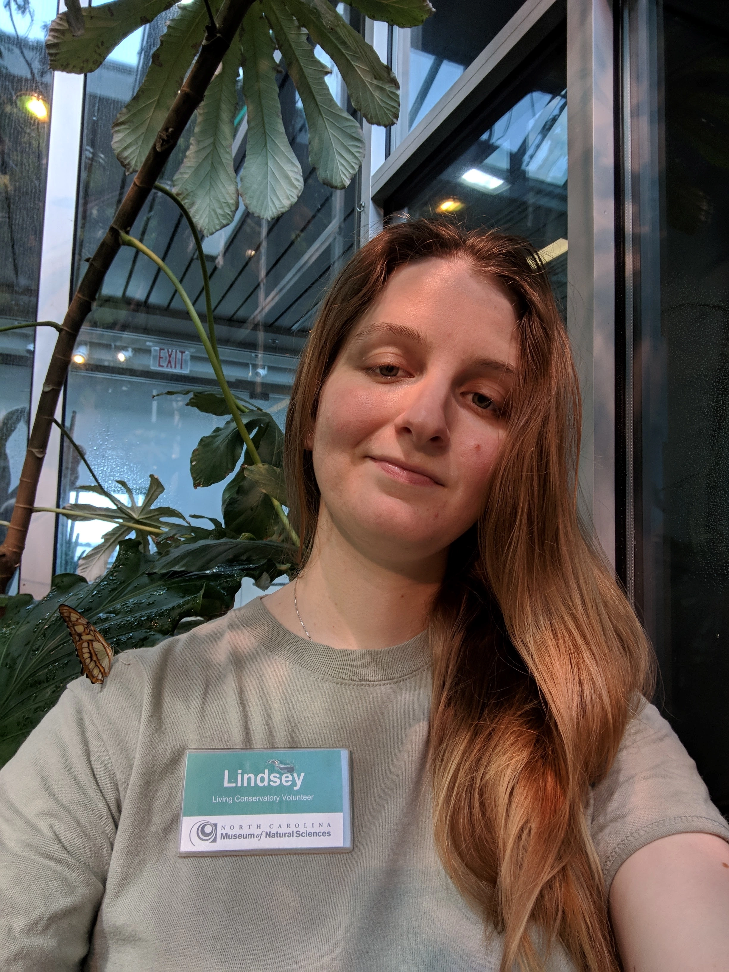 Linzertorte!=''?Linzertorte:Lindsey Schultz