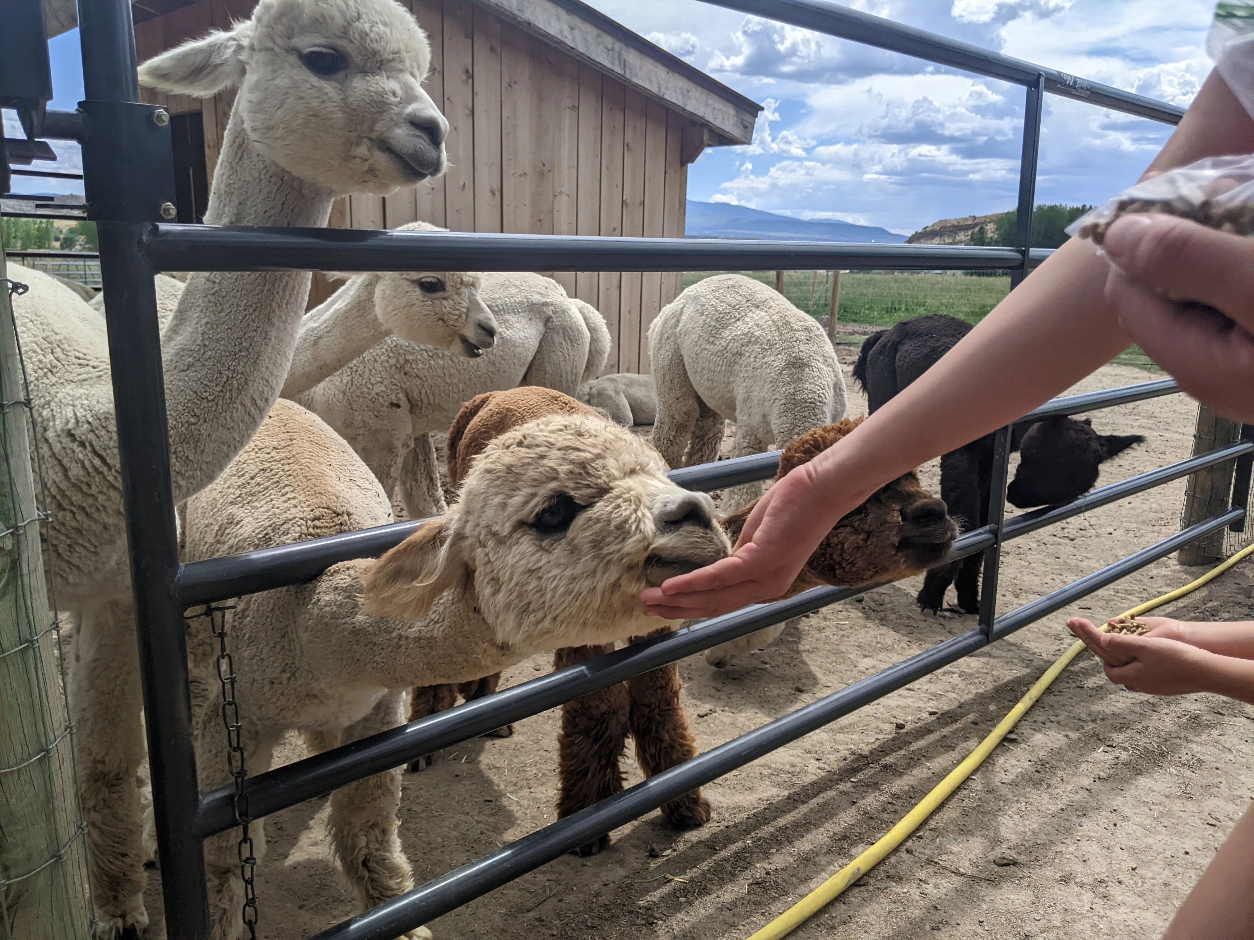 Nathan!=''?Nathan:Nathan Wang