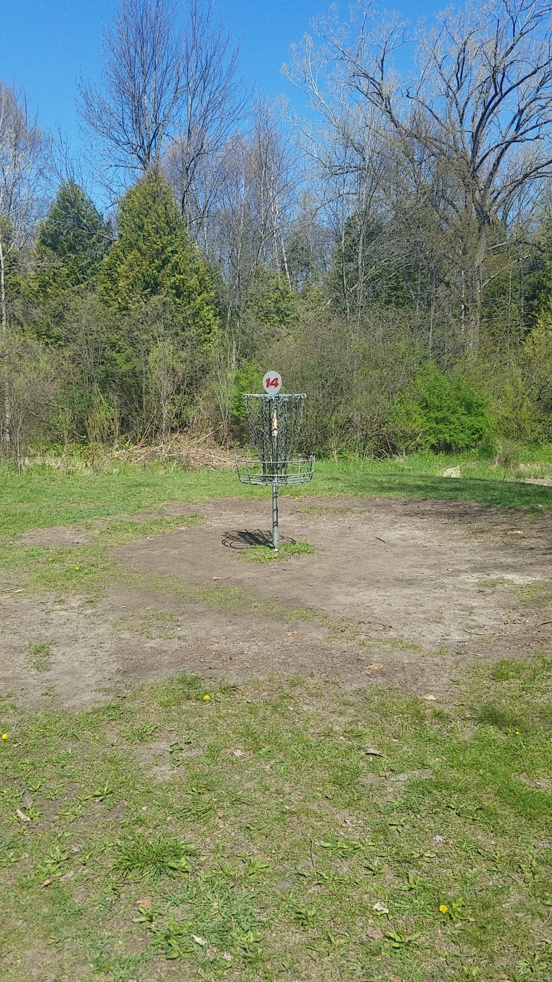 Tlordvictorious!=''?Tlordvictorious:levi levi