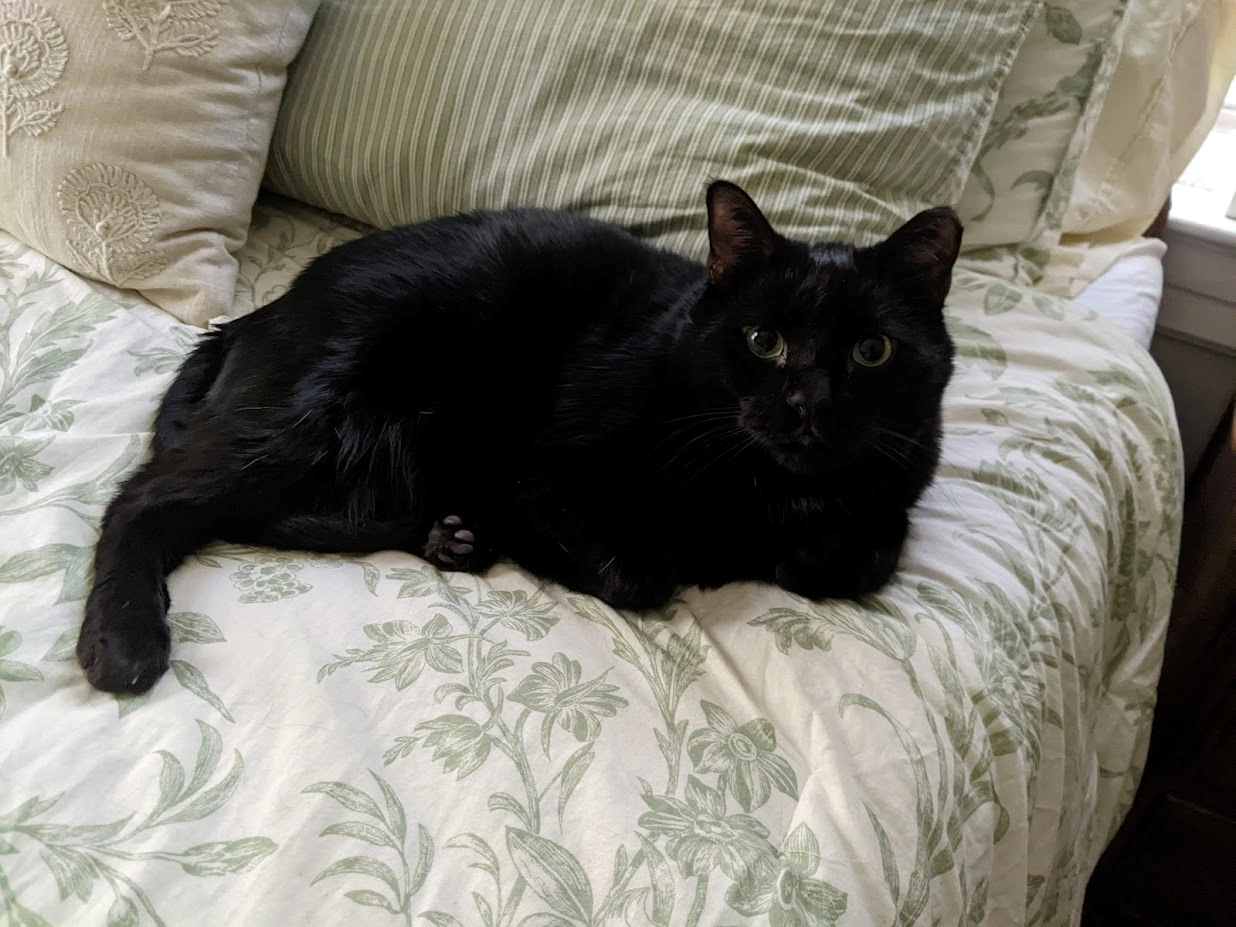 kotoftw!=''?kotoftw:Adam Caudle