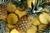 42 Pineapples