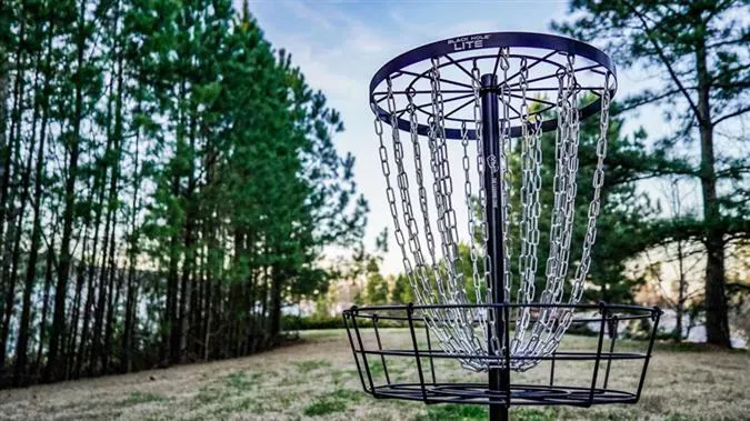 Black Hole Lite